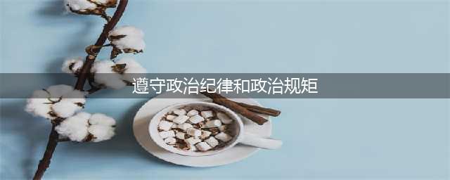 严明党的政治纪律和政治规矩(遵守政治纪律和政治规矩)