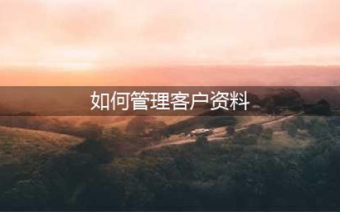 如何有效地管理客户资料(如何管理客户资料)