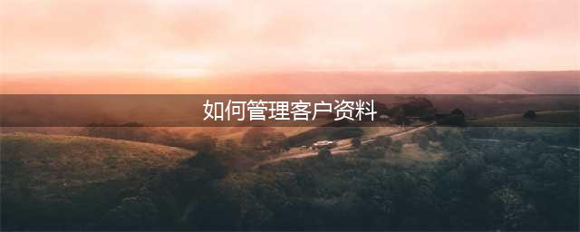 如何有效地管理客户资料(如何管理客户资料)