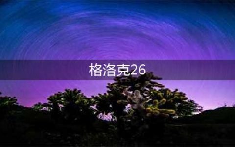 被俘印度飞行员用格洛克26？印度令中国羡慕的10种好枪！(格洛克26)