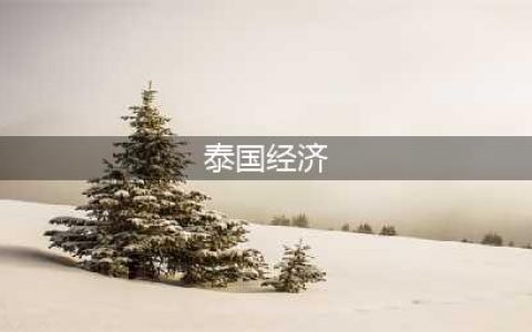 泰国真正的经济实力，到底是怎样的？(泰国经济)