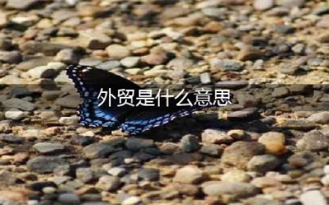 了解关于外贸的概念(外贸是什么意思)