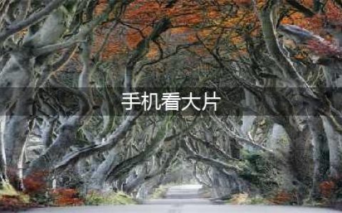 手机看片神器！老司机必备的十大免费在线观影网站软件推荐(手机看大片)