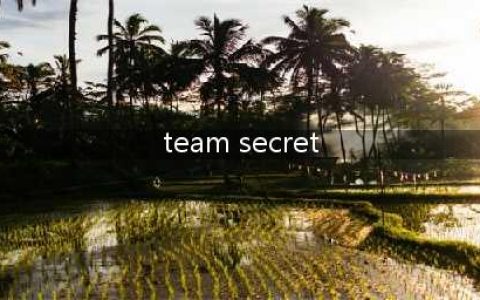《DOTA2》Secret战队介绍 重庆Major决赛Secret战队阵容怎样(team secret)
