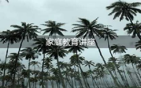 让爱充满智慧         ——家庭教育主题讲座报道(家庭教育讲座)