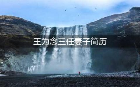 《大王小王》主持人王为念，结过三次婚的他让网友讨厌至极(王为念三任妻子简历)