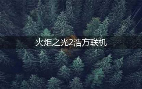 《火炬之光2》怎么联机 联机方法介绍(火炬之光2浩方联机)
