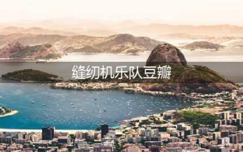 「缝纫机乐队」 算不上高分佳作，但也不是渣片烂片(缝纫机乐队豆瓣)