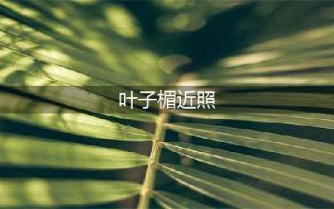 57岁女神叶子楣近照曝光，瘦到皮包骨，身材丰满令网友啧啧称奇！(叶子楣近照)