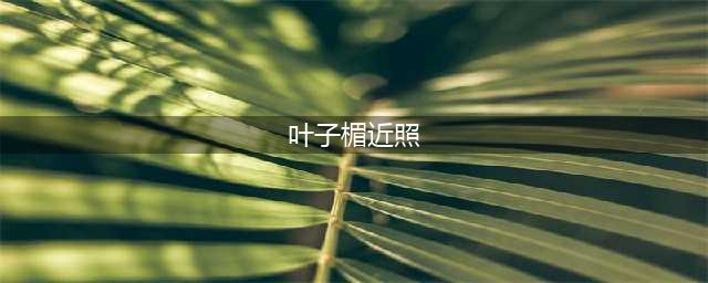 57岁女神叶子楣近照曝光，瘦到皮包骨，身材丰满令网友啧啧称奇！(叶子楣近照)