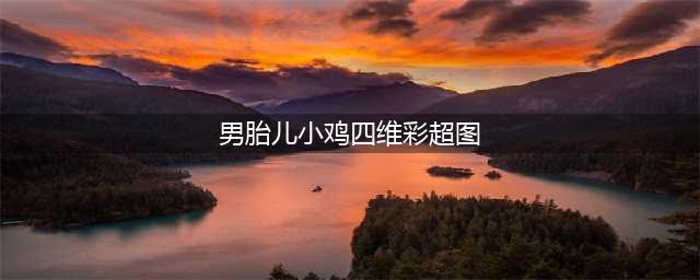 四维单子上有男女暗示 男胎儿小鸡b超显示图像这样(男胎儿小鸡四维彩超图)