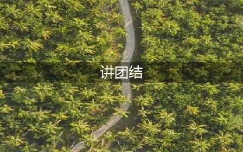 讲团结 促复兴(讲团结)