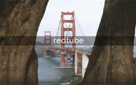 不容错过的国外黄色系网站丰富多样与独特功能(redtube)