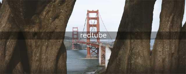 不容错过的国外黄色系网站丰富多样与独特功能(redtube)