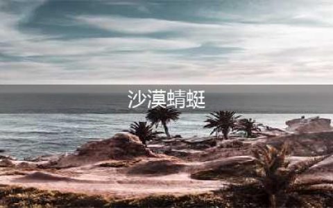 《宝可梦剑盾》沙漠蜻蜓如何配招 操作技巧分享(沙漠蜻蜓)
