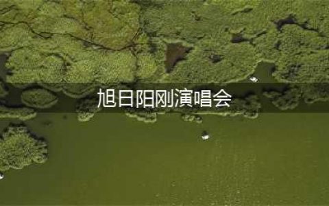 旭日阳刚毁灭史：曾是电视宠儿，如今销声匿迹，他们做错了什么？(旭日阳刚演唱会)