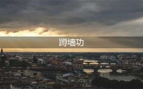 [基础功法]太极松腰法蹲墙功与功理效应(蹲墙功)