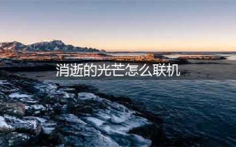 消逝的光芒怎么联机 消逝的光芒双人联机教程