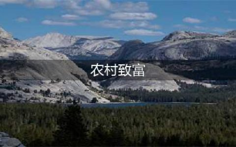 商机来了，42个农村致富项目都给你！(农村致富)