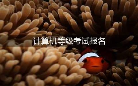 2024年计算机等级考试“报名时间”汇总！网上报名流程来了！(计算机等级考试报名)