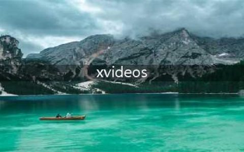 全球最受欢迎的成人视频平台(xvideos)