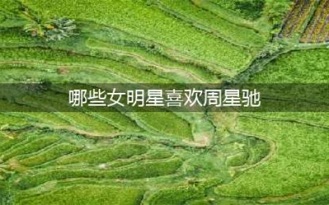 15位女明星眼中的周星驰：谁是头号小迷妹？谁的评价最高？(哪些女明星喜欢周星驰)