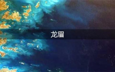 什么是龙眉 好不好？(龙眉)
