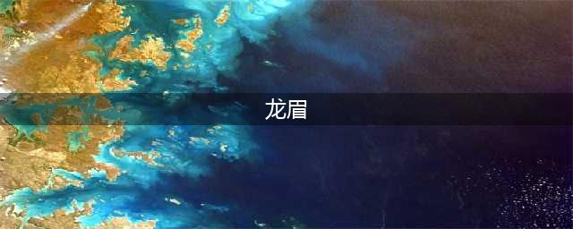 什么是龙眉 好不好？(龙眉)