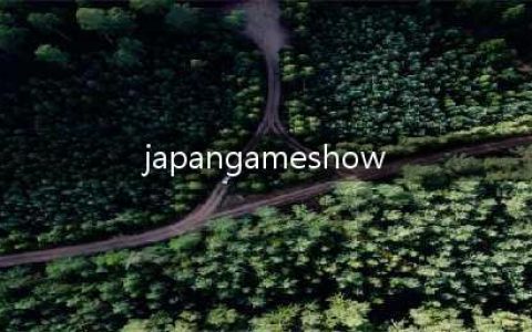 日本东京国际游戏展览会 TOKYO GAME SHOW(japangameshow)