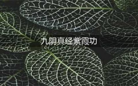 九阴手游紫霞功厉害吗 紫霞功玩法辅助攻略
