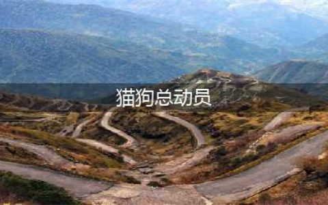 《英雄联盟LOL》猫狗总动员活动怎么玩 猫狗总动员活动时间及内容分享(猫狗总动员)