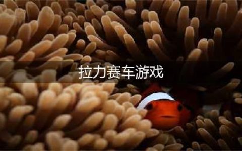 拉力赛车手游排行榜 热门的拉力赛车游戏2022(拉力赛车游戏)