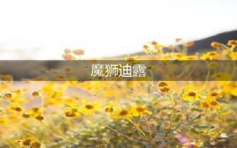 赛尔计划魔狮迪露技能厉不厉害 魔狮迪露技能强度测评