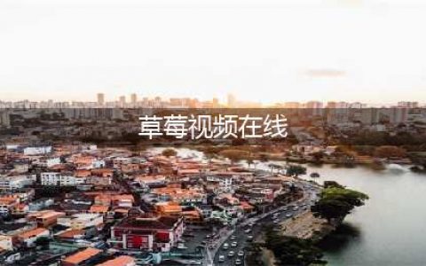 草莓视频你的私人影院，自由观赏多样大片(草莓视频在线)