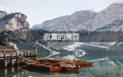 中年黄蓉的婚内寂寞(寂寞的黄蓉)