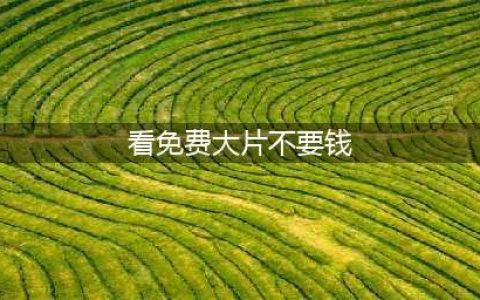 不花一分钱也能看高清大片？这十个免费在线观影网站你一定要知道(看免费大片不要钱)