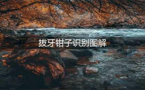 牙医干货丨9种常用拔牙钳图文讲解(拔牙钳子识别图解)