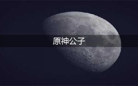 原神1.4版本公子培养攻略 公子的强度超乎你的想象(原神公子)