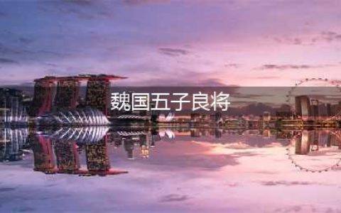《策魂三国》魏国五子良将怎么样 魏国五子良将强度评测(魏国五子良将)