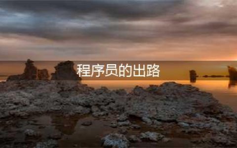 普通程序员有什么出路？(程序员的出路)