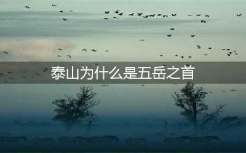 泰山并不高，为什么会被尊为五岳之首？这四点原因告诉你答案(泰山为什么是五岳之首)