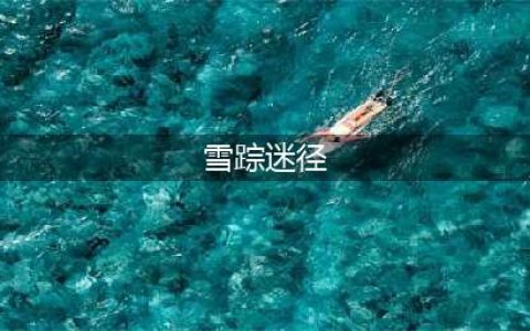 《剑与远征》雪踪迷径怎么过 雪踪迷径通关教程(雪踪迷径)
