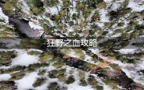魔兽世界狂野之血怎么获取 狂野之血获取攻略