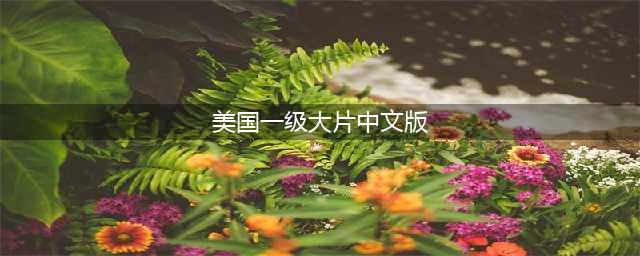 推荐10部欧美高分经典R级电影，每一部都看点十足！(美国一级大片中文版)