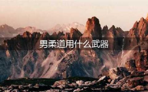 dnf男柔道用什么武器 男柔道用什么武器最好
