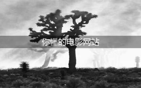 十大老司机必备的免费在线观影网站(你懂的电影网站)