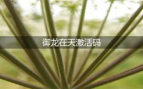 御龙在天手游礼包领取大全 礼包和激活码预定攻略