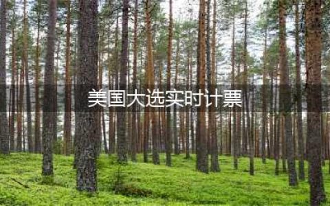 【直播】美国大选计票结果实时更新(美国大选实时计票)