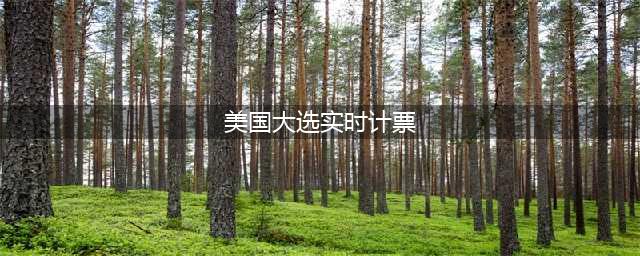 【直播】美国大选计票结果实时更新(美国大选实时计票)