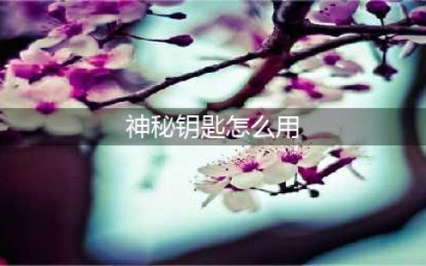 逆战塔防神秘关卡钥匙怎么用